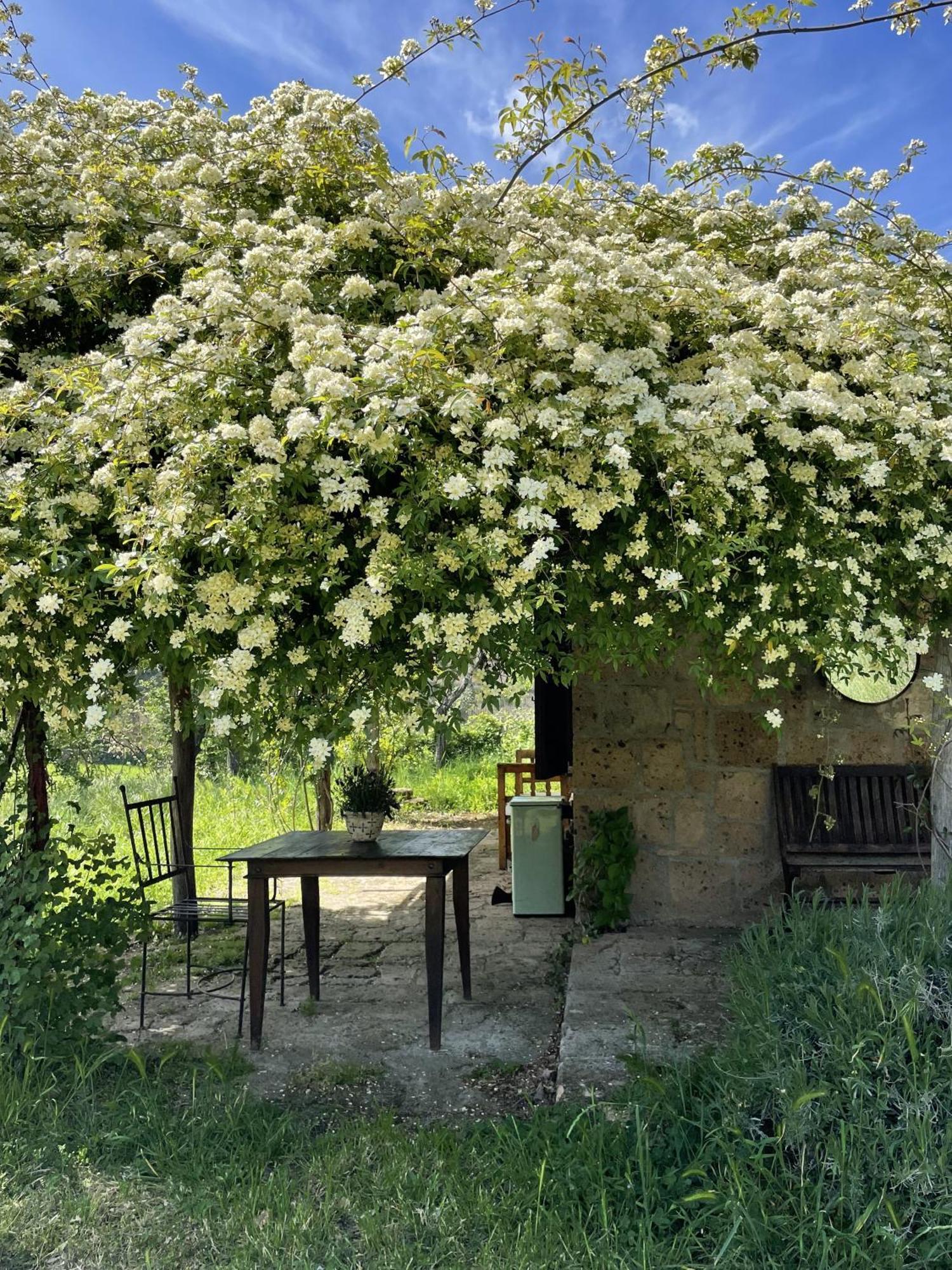 Agriturismo Locanda Settimo Cielo Vila Lubriano Exterior foto