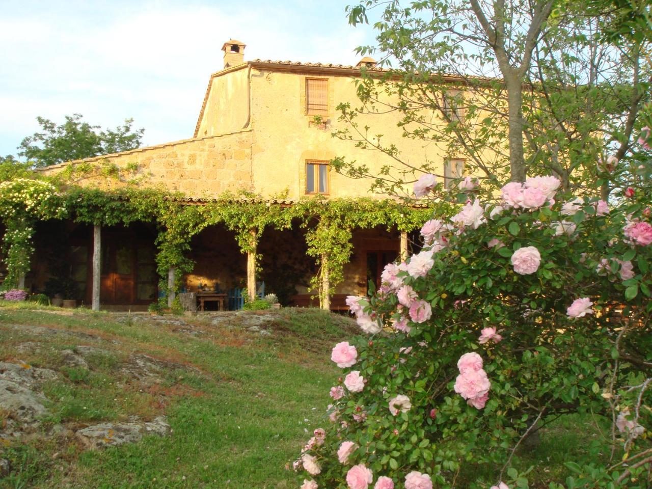 Agriturismo Locanda Settimo Cielo Vila Lubriano Exterior foto